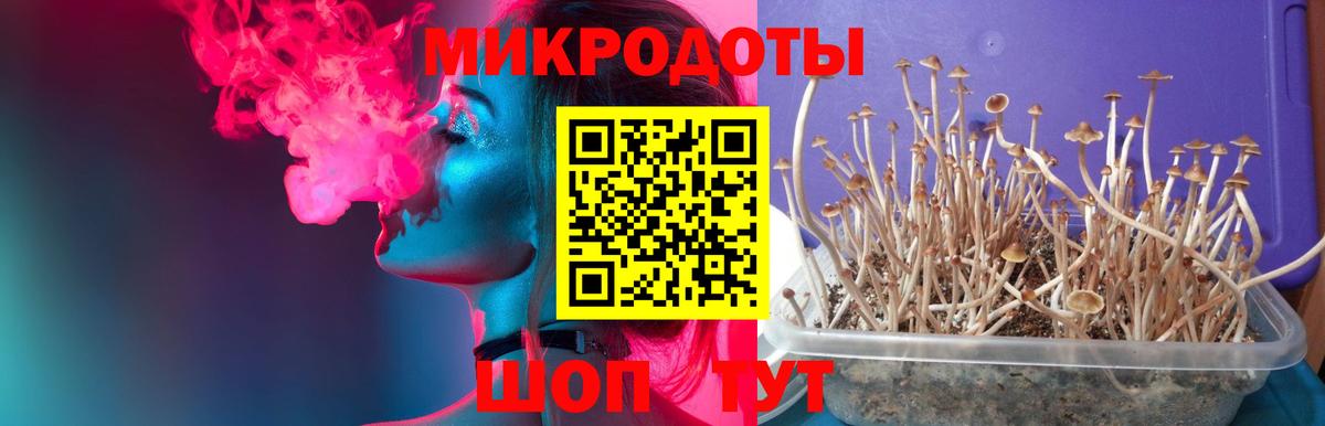 Галлюциногенные грибы ЛСД  Псилоцибиновые грибы Psilocybe  Мурманск  Вход с VPN 